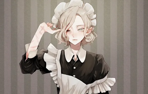 Anime, the maid, maid, Trap, Dungeon Meshi, Mithrun