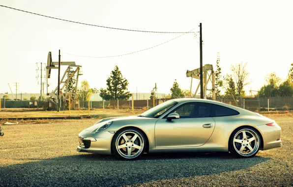 Picture Porsche, 991, Porsche, profile, carrera