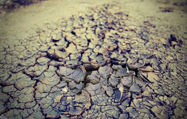Summer, earth, heat, drought, 2016