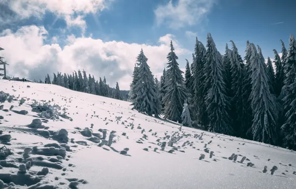 Winter, forest, the sky, clouds, light, snow, mountains, the building