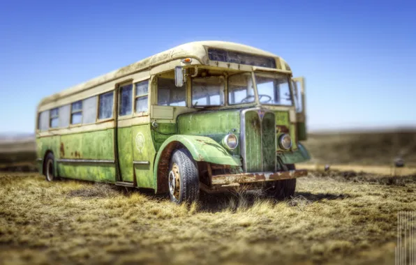 Picture field, style, background, bus