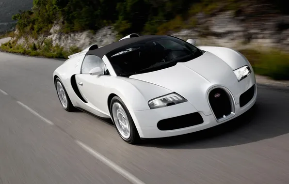 Picture white, background, beauty, Bugatti, picture