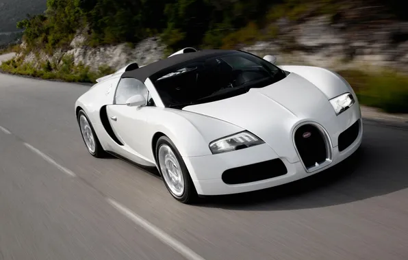 White, background, beauty, Bugatti, picture