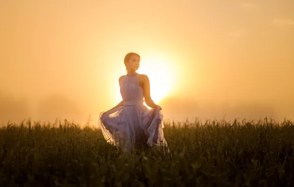 FIELD, DRESS, DAWN, FOG, SPIKELETS, photographer Sergeyev Sergey