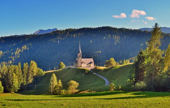 Picture road, greens, field, forest, summer, the sky, grass, clouds