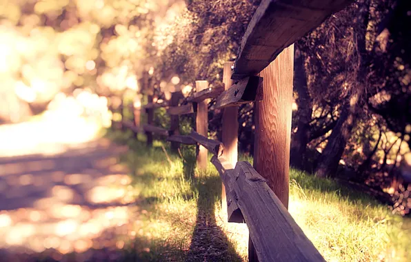 Summer, grass, nature, background, Wallpaper, the fence, plants, blur