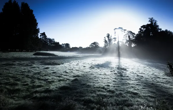 Picture light, fog, morning
