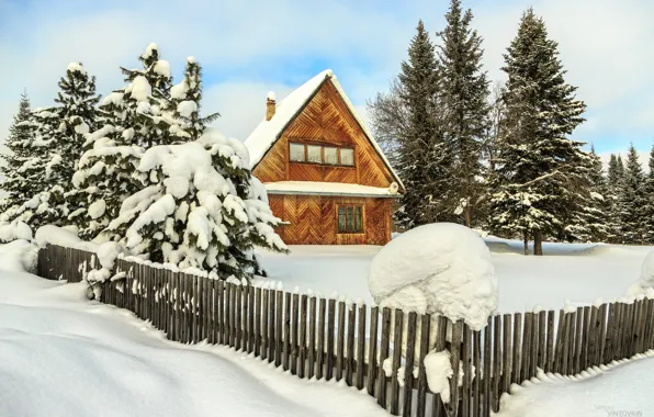 WINTER, VILLAGE, LANDSCAPE, VILLAGE, SIBIRI, Sergey Vintovkin