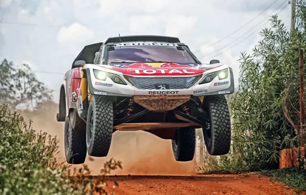 Auto, Sport, Machine, Speed, Race, Peugeot, Lights, Red Bull