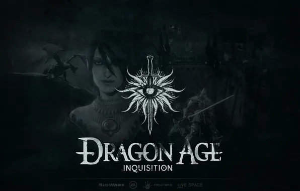 BioWare, LiVE SPACE, Dragon Age 1, Inquisition