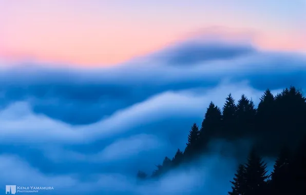 Clouds, trees, fog, photographer, Kenji Yamamura
