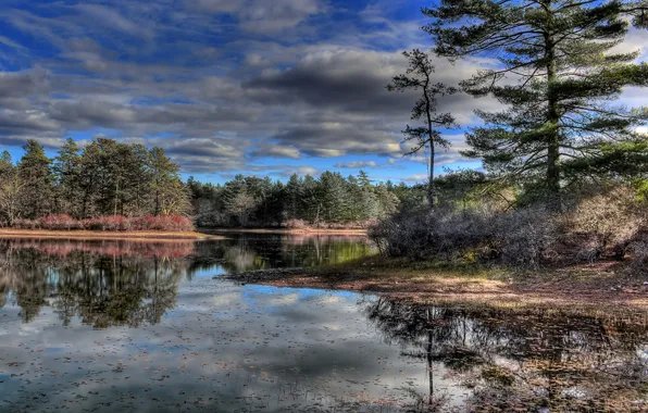 The sky, trees, lake