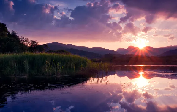 Picture the sky, the sun, clouds, lake, the reeds