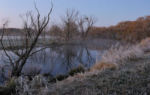 Picture winter, frost, landscape, river, morning