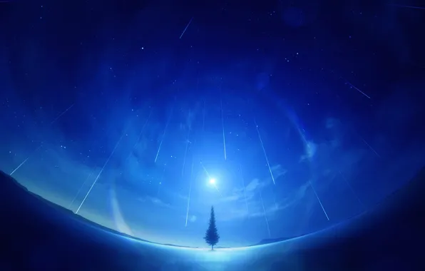 The sky, night, tree, Starfall