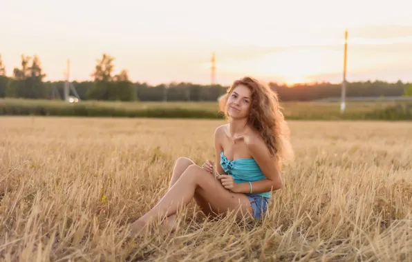 Picture girl, sitting, in the field, Sweetheart, at sunset