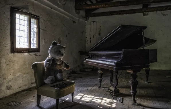 Picture bear, chair, piano