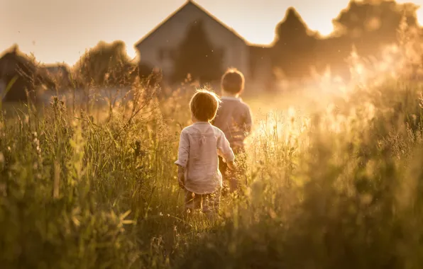 Picture summer, the sun, children, sunny days came
