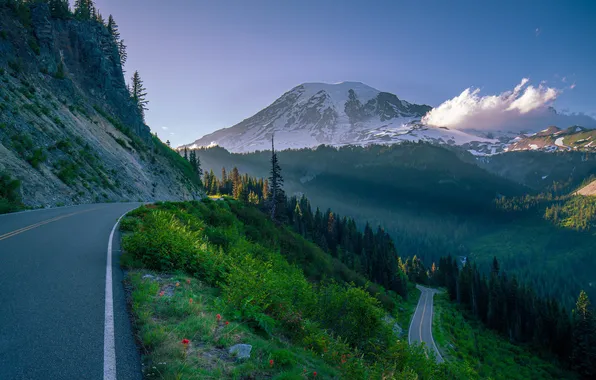 Road, greens, forest, summer, grass, snow, flowers, mountains