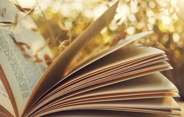 Greens, background, book, page, spike, bokeh