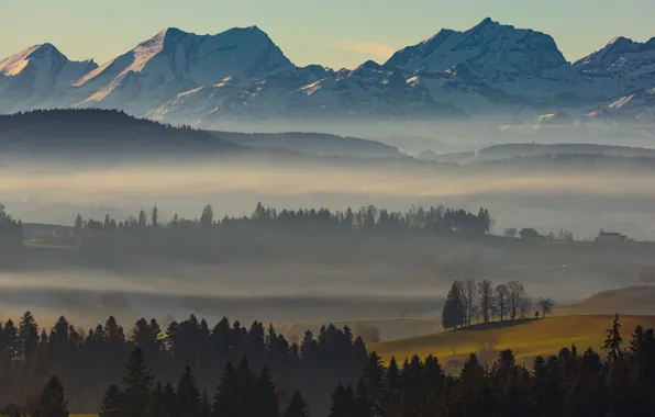 Autumn, forest, the sky, snow, trees, mountains, fog, hills