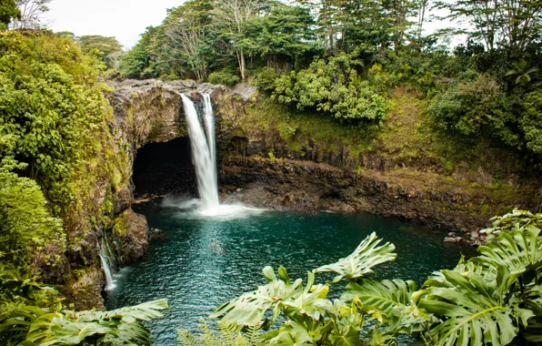 Trees, nature, waterfall, USA, pond, the grotto, Rainbow Falls