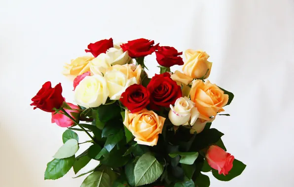 Flowers, roses, bouquet