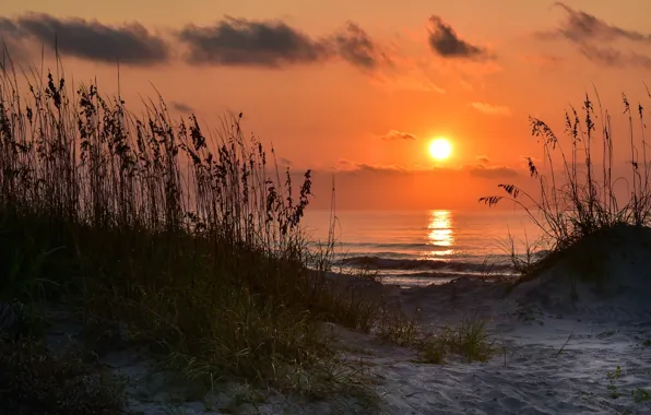 Picture sea, sunset, shore