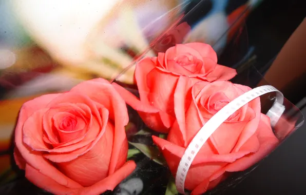 Pink, romance, roses