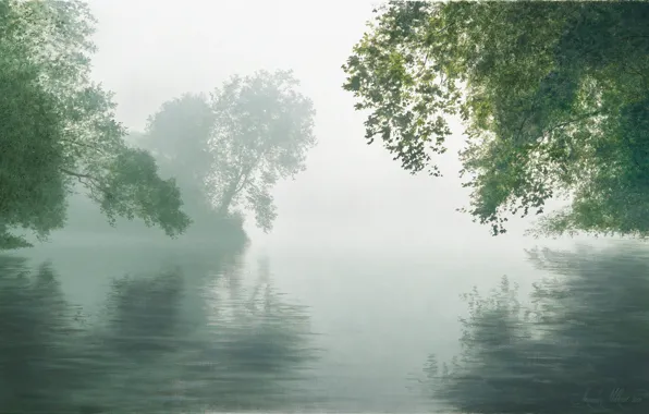 Picture trees, nature, fog, river