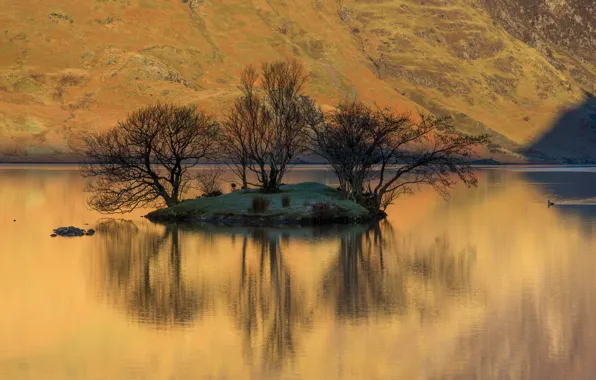 Trees, lake, reflection, mountain, slope, island