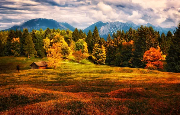 Field, autumn, forest, grass, bright colors, clouds, trees, mountains
