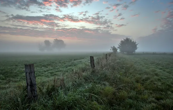 Picture field, autumn, fog, the fence