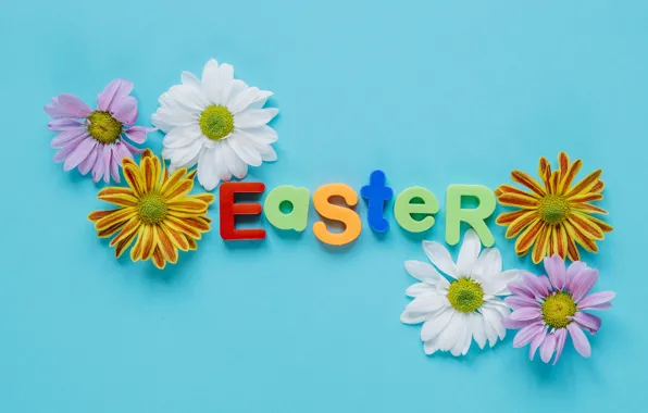 Easter, Letters, Holiday, Chrysanthemum