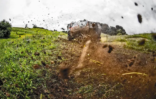 Picture summer, grass, nature, race, sport, speed, dirt, Truck