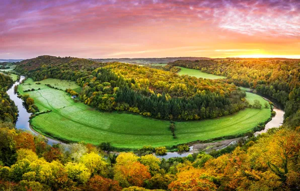 Trees, nature, Wales, Symonds Yat Rock, the river Wye