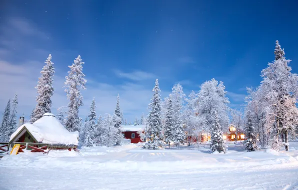 Winter, snow, trees, landscape, nature, winter, house, house