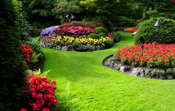 Picture greens, grass, trees, flowers, lawn, garden, colorful, the bushes