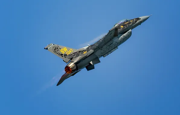 The rise, the Slayer, combat aircraft