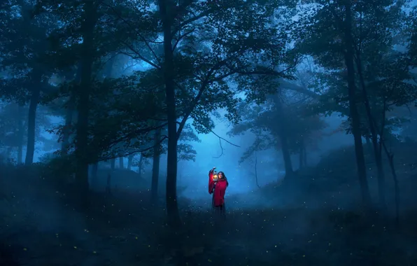 Picture forest, girl, trees, night, the situation, lantern