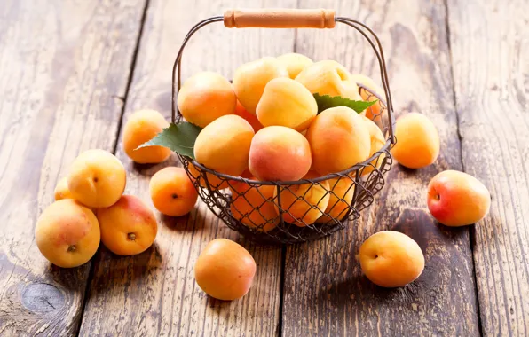 Summer, basket, apricots, treat