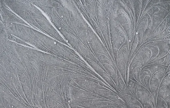 Frost, line, patterns, frost