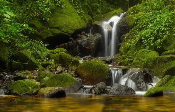 Nature, stream, stones, waterfall, maybe