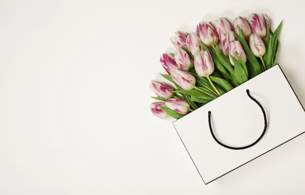 White, background, bouquet, tulips, pink, packaging, Natalia Klenova