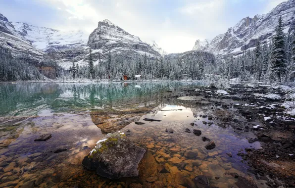 Picture landscape, nature, Lake O'Hara, wintery morning