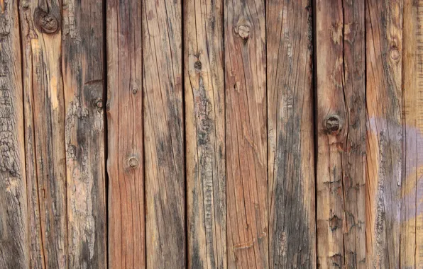 Picture wood, pattern, natural, not planed