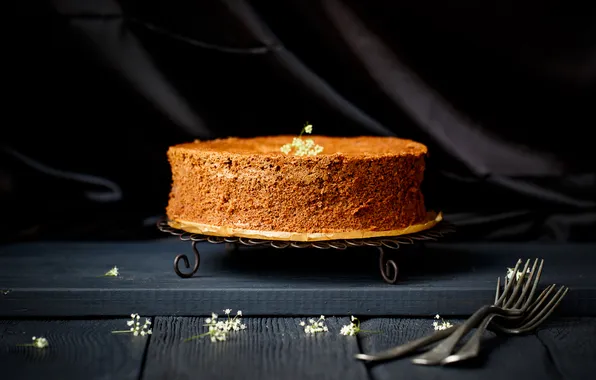 Chocolate, cake, plug, dessert, cakes, sweet, biscuit