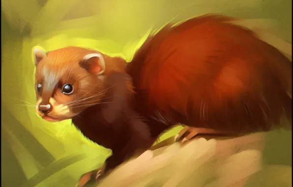 Picture forest, look, art, fur, animal, ferret