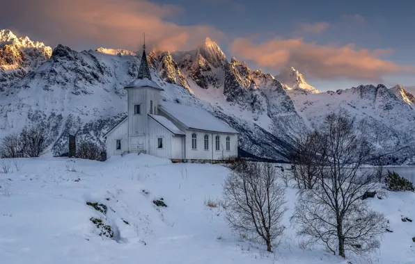 Picture winter, the sky, light, snow, trees, mountains, rocks, shore