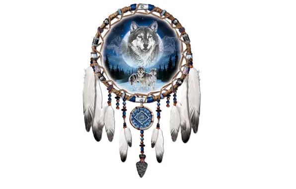 Feathers, white background, wolves, wolf, wolves, Dreamcatcher, Dreamcatcher